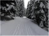 Rudno polje - Planina Zajamniki